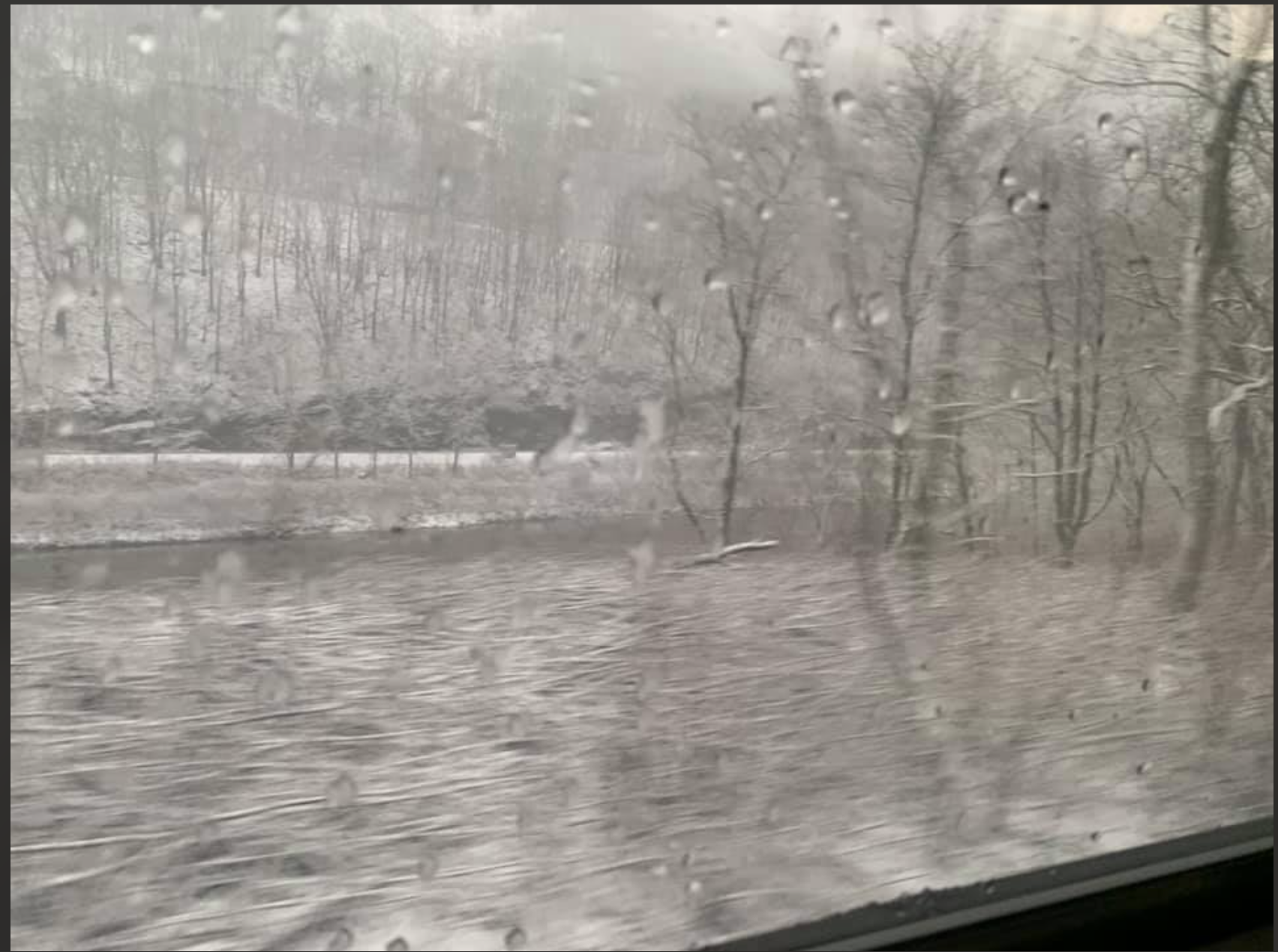 Screen Shot 2020-06-25 at 8.51.39 AM